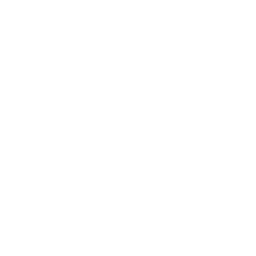 Second Ocean 로고